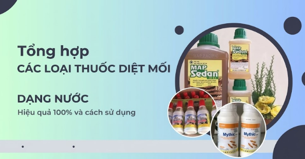 Diệt mối chúa bằng thuốc có dạng nước