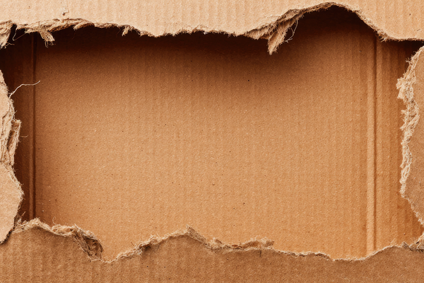 Giảm tình trạng mọt gỗ chỉ bằng bìa các tông