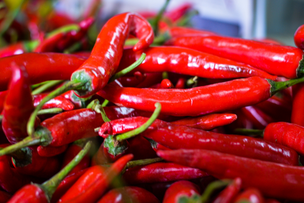 Dùng ớt tươi để giảm mối mọt khi chúng mới xuất hiện