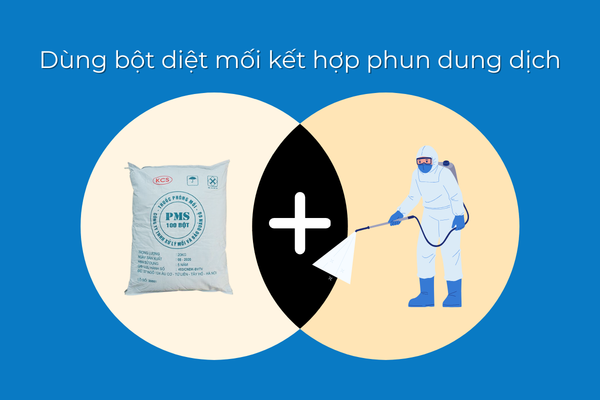 Kết hợp bột diệt mối và phun dung dịch mang lại hiệu quả tốt hơn