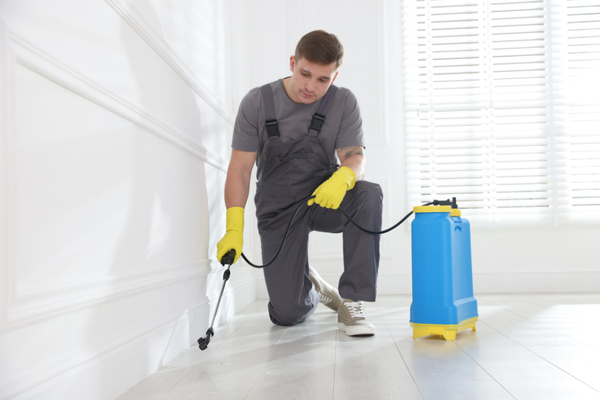 Gọi đơn vị diệt mối chuyên nghiệp sẽ tối ưu hiệu quả và thời gian