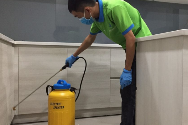 Hãy gọi đơn vị chuyên nghiệp để tối ưu hiệu quả diệt mối