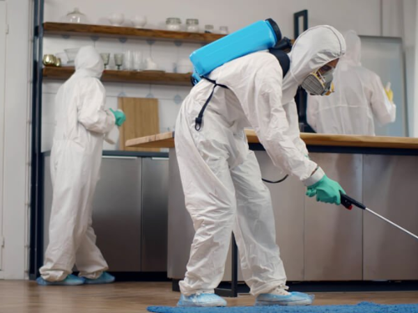 Nếu bạn đang gặp vấn đề về mối hãy liên hệ công ty TNHH LSD