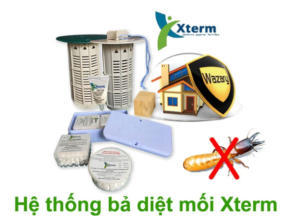 Phương pháp diệt mối chúa theo công nghệ Nhật Bản