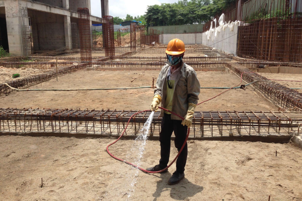 Xử lý mối đất chuyên nghiệp