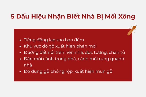 5 dấu hiệu nhận biết nhà bị mối xông