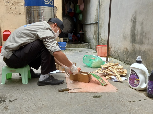 An toàn sức khỏe khi diệt mối là trên hết