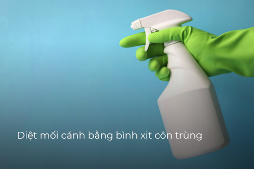 Dùng bình xịt để diệt mối cánh nhanh chóng