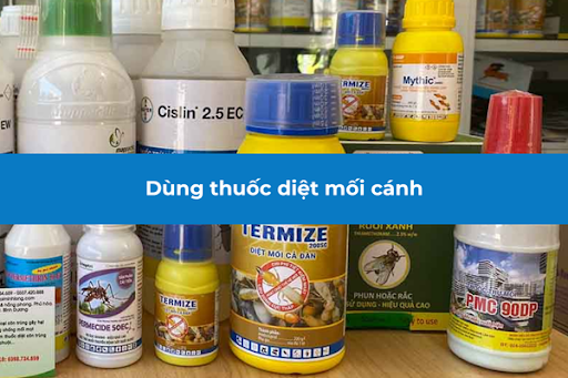 Diệt mối cánh bằng thuốc chuyên dụng