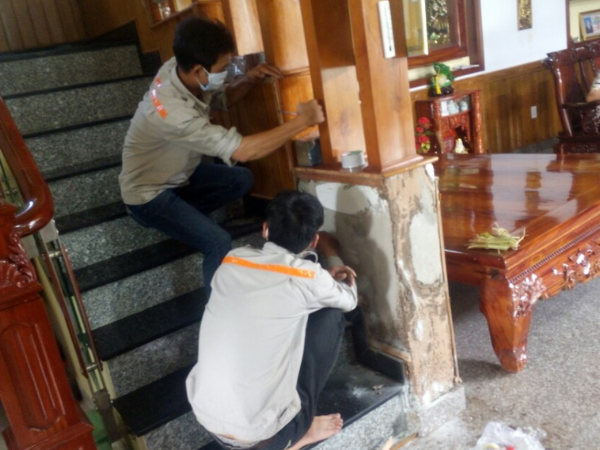Gọi đơn vị diệt mối nhằm xử lý tận gốc