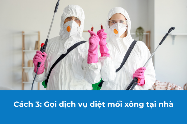 Khi tình trạng trở nên nghiêm trọng, hãy gọi dịch vụ diệt mối tại nhà