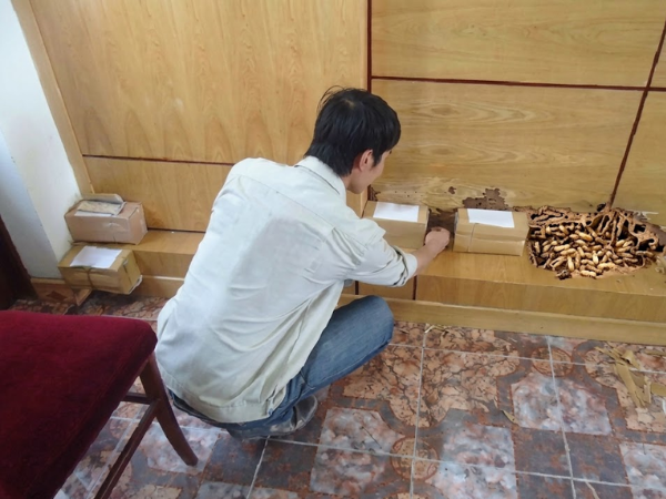 Khảo sát để đặt hộp nhử mối vào tập trung
