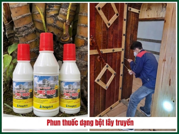 Lưu ý kỹ thuật là không nên xịt thuốc quá nhiều hoặc quá ít