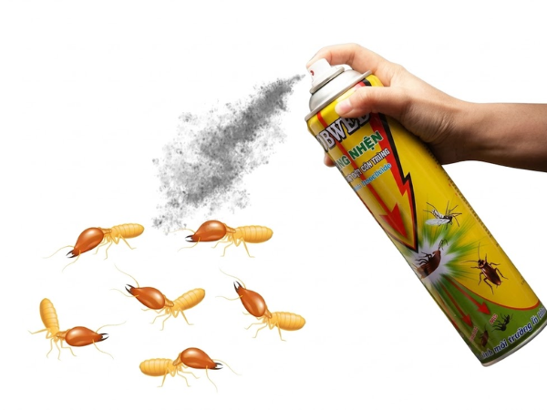 Xịt thuốc hoặc phá đường đi chỉ tiêu diệt mối thợ
